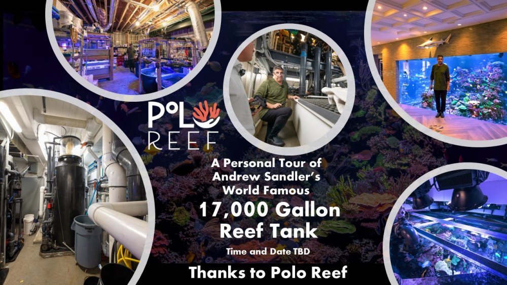 Polo Reef Tour Prize.jpg