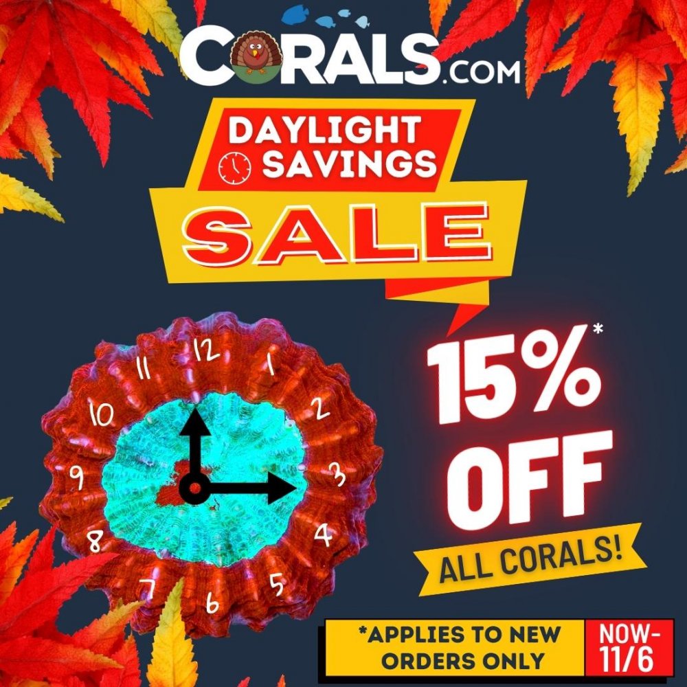 daylight savings sale.jpg