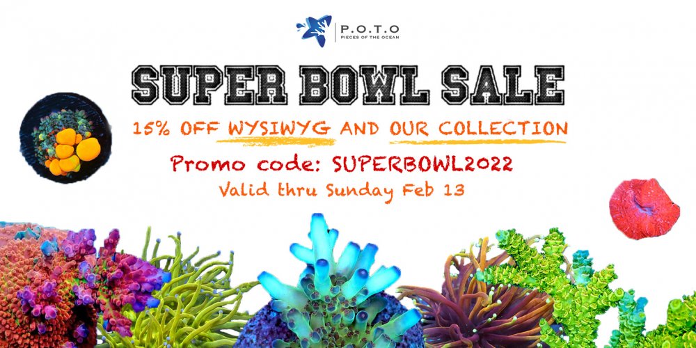 Website-Banner-Superbowl-Sale-1536x768.jpg
