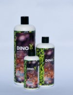 DinoX-new-3er-1-free-1.jpg