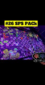 26 - SPS Pack.JPG