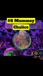 08 - Mummeye Chalice.jpg