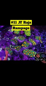 11 - JF Raja Rampage.JPG