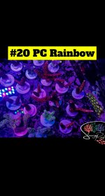 20 - PC Rainbow.JPG