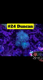 24 - Duncan.JPG