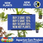 new plants deal aug 8-1.jpeg